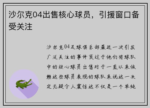 沙尔克04出售核心球员，引援窗口备受关注